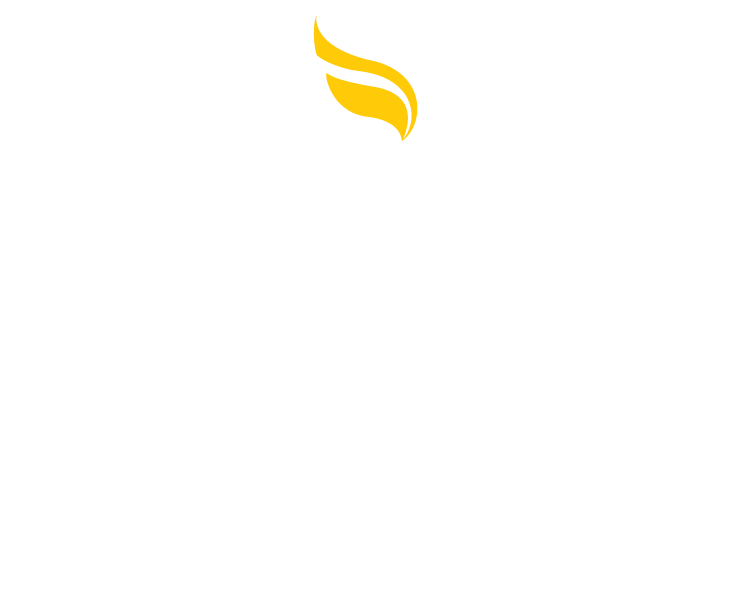Apollo Shine Logo